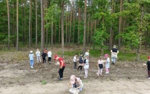 Słoneczka na wycieczce w Brzezince (2)