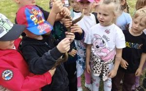 Słoneczka na wycieczce w Brzezince (4)