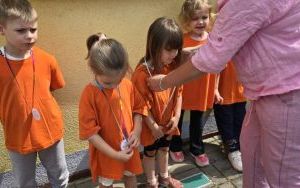 Sprintem do Maratonu - Misie (1)