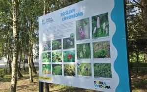 Wycieczka do Stradomi (7)