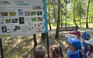 Wycieczka do Stradomi (2)