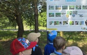 Wycieczka do Stradomi (7)