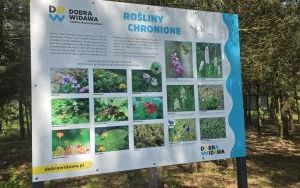 Wycieczka do Stradomi (14)
