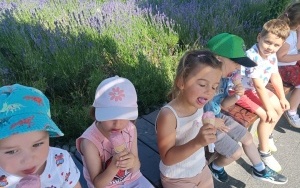 Lody (9)