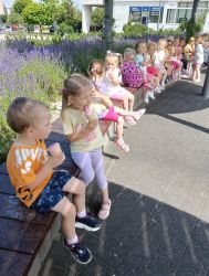 Na lody z Krasnalami (14)