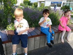 Na lody z Krasnalami (7)