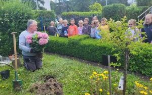 Słoneczka żegnają przedszkole, a witają szkołę (2)