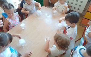 Warsztaty chemiczne w grupie Smerfy  (11)