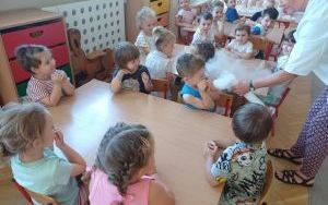 Warsztaty chemiczne w grupie Smerfy  (19)