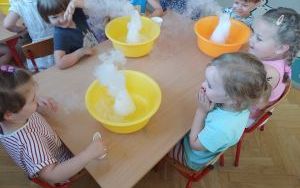 Warsztaty chemiczne w grupie Smerfy  (4)