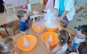 Warsztaty chemiczne w grupie Smerfy  (12)