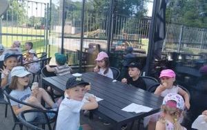 Lody - misie (7)