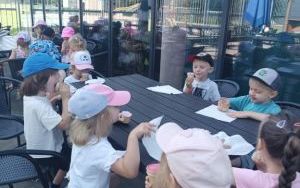 Lody - misie (5)