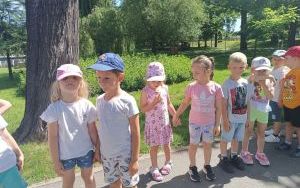 Lody - misie (17)