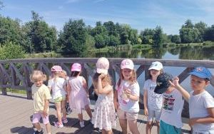 Lody - misie (11)
