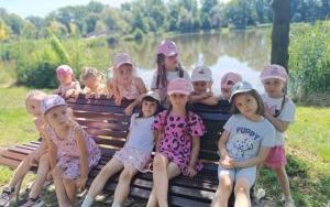 Lody - misie (10)