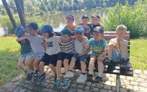 Lody - misie (6)
