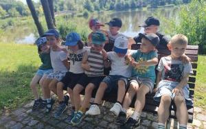 Lody - misie (4)