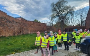 Krasnale na tropie zabytków Oleśnicy (2)