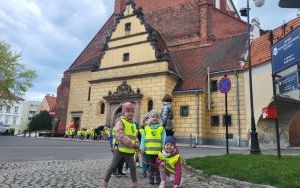 Krasnale na tropie zabytków Oleśnicy (10)