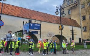 Krasnale na tropie zabytków Oleśnicy (11)