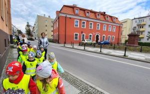 Krasnale na tropie zabytków Oleśnicy (2)