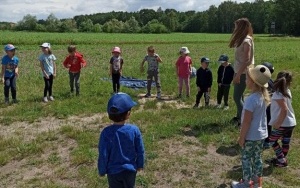 Wycieczka do lasu - Pszczółki (4)