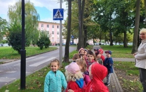 Zasady bezpieczeństwa na drodze (13)