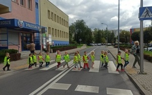 Zasady bezpieczeństwa na drodze (17)