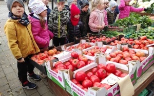 Owoce i warzywa w grupie Słoneczka (5)