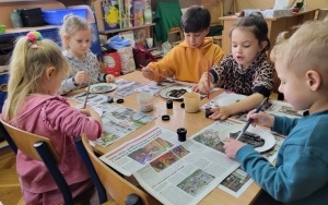 Zuchy poznają kota w życiu człowieka (1)