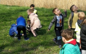 Dzień Ziemi Zuchy świętowały  nad stawami.  (4)