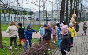 Dzień Ziemi w Misiach (15)