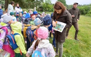 Wycieczka do lasu - Słoneczka (10)