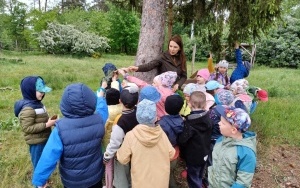 Wycieczka do lasu - Słoneczka (14)