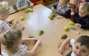 Zapasy na zimowe czasy jeża- Smerfy  (17)