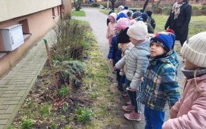 Lekcja o Oleśnicy - Zuchy (15)