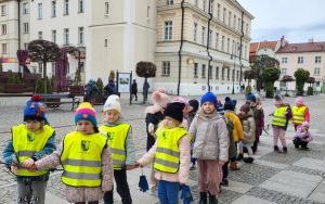 Lekcja o Oleśnicy - Zuchy (13)