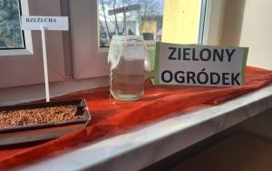 Zielony ogródek w Smerfach (1)