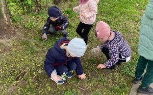 Akcja Sprzątamy Dla Polski (4)