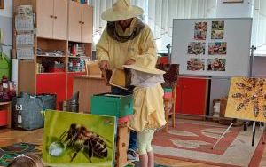 Warsztaty pszczelarskie - Misie  (3)
