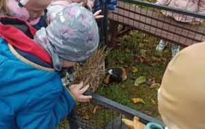 Wycieczka do Zagrody Edukacyjnej ,,Zakątek Bliżej Ziemi" - Misie (8)