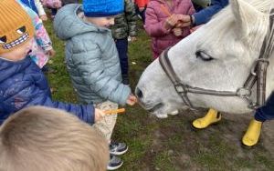 Wycieczka do Zagrody Edukacyjnej ,,Zakątek Bliżej Ziemi" – „Pszczółki” (12)