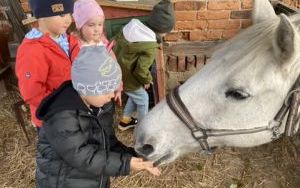 Wycieczka do Zagrody Edukacyjnej ,,Zakątek Bliżej Ziemi" – „Pszczółki” (1)