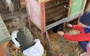 Wycieczka do Zagrody Edukacyjnej ,,Zakątek Bliżej Ziemi" – „Pszczółki” (19)