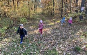 Wycieczka do Zagrody Edukacyjnej ,,Zakątek Bliżej Ziemi" – „Pszczółki” (10)