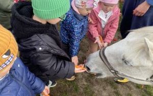 Wycieczka do Zagrody Edukacyjnej ,,Zakątek Bliżej Ziemi" – „Pszczółki” (6)