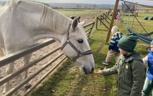 Wycieczka do Zagrody Edukacyjnej ,,Zakątek Bliżej Ziemi" – „Pszczółki” (13)