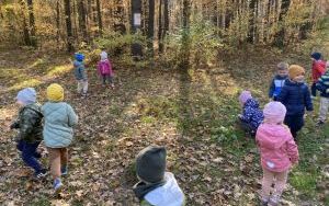 Wycieczka do Zagrody Edukacyjnej ,,Zakątek Bliżej Ziemi" – „Pszczółki” (9)