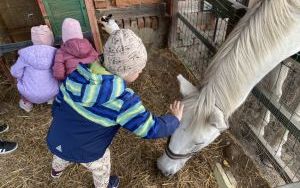 Wycieczka do Zagrody Edukacyjnej ,,Zakątek Bliżej Ziemi" – „Pszczółki” (9)